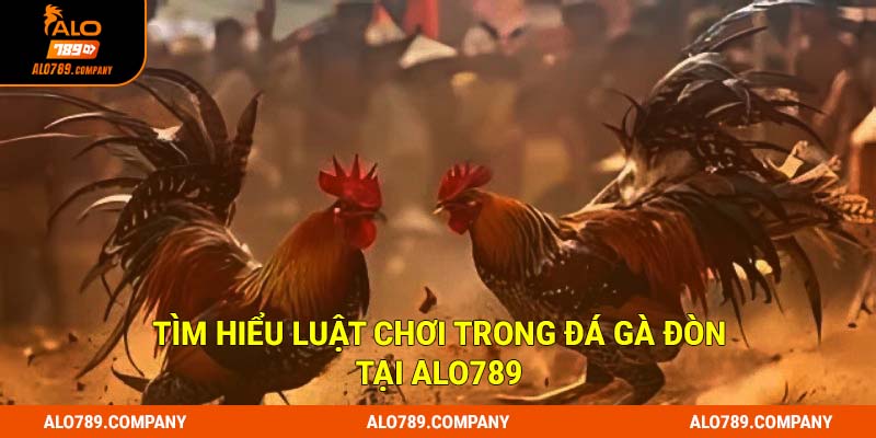 Đá Gà Đòn: Siêu phẩm cá cược trực tuyến đẳng cấp tại Alo789 2 Tìm hiểu luật chơi trong Đá gà đòn tại Alo789